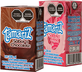 Leche Tamariz Fresa/Chocolate 236ml